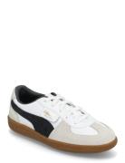 Palermo Lth Ps Matalavartiset Sneakerit Tennarit White PUMA