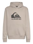 Big Logo Hoodie Youth Tops Sweat-shirts & Hoodies Hoodies Beige Quiksi...