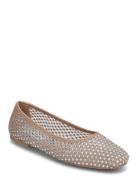 Auden Ballerinas Ballerinat Beige Steve Madden