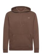 Hco. Guys Sweatshirts Tops Sweat-shirts & Hoodies Hoodies Brown Hollis...