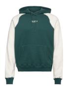 Hco. Guys Sweatshirts Tops Sweat-shirts & Hoodies Hoodies Green Hollis...