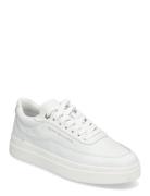 Modern Court Sneaker Lthr Matalavartiset Sneakerit Tennarit White Tomm...