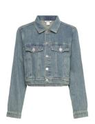 Cropped Denim Jacket Farkkutakki Denimtakki Blue Monki