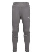 Evostripe Pants Dk B Sport Sweatpants Grey PUMA