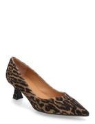 Pumps Shoes Heels Pumps Classic Brown Billi Bi