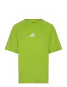 J Gt Pz Tee Tops T-shirts Short-sleeved Green Adidas Sportswear