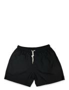 Solid Swim Shorts Uimashortsit Black Portia 1924