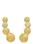 Diantha Earrings Korvakoru Korut Gold Maanesten