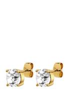 Daze Sg Crystal Accessories Jewellery Earrings Studs Gold Dyrberg/Kern