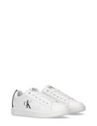 Kids Low Cut Lace-Up Sneaker Matalavartiset Sneakerit Tennarit White C...