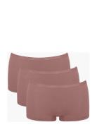 Sloggi Go Daily Cotton Short 3P Alushousut Brief Tangat Brown Sloggi