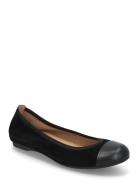 Ballerina Ballerinat Black Gabor