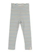 Legging Modal Striped Bottoms Leggings Blue Petit Piao