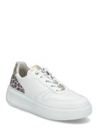 Sneaker Matalavartiset Sneakerit Tennarit White Gabor