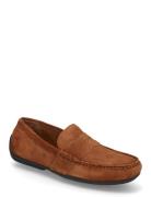 Reynold Suede Driver Loaferit Matalat Kengät Brown Polo Ralph Lauren