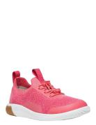 Ke Knx Knit Lace Matalavartiset Sneakerit Tennarit Pink KEEN