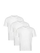 Anf Mens Knits Tops T-shirts Short-sleeved White Abercrombie & Fitch