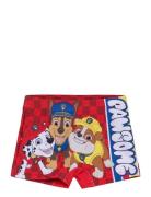 Swimsuit Uimashortsit Red Paw Patrol