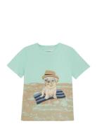 T-Shirt Ss Tops T-shirts Short-sleeved Green Minymo