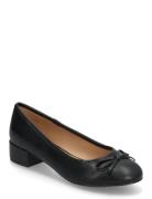 Biacindy Ballet Flat Faux Leather Ballerinat Black Bianco