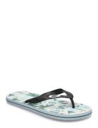 Catalina Flip Flop Flipflopit Rantasandaalit Sandaalit Blue OAKLEY