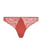 Thong Stringit Alusvaatteet Brown Calvin Klein