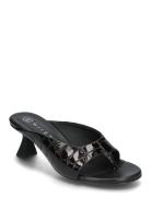 Palmira Brown Sandal Korolliset Sandaalit Black MIISTA