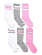 6W-6Pk Crew Sock Sukat Pink Converse