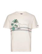 Tjm Reg Palm Sailing Graphic Tee Tops T-shirts Short-sleeved White Tom...