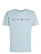 Ss Tee Tops T-shirts Short-sleeved Blue Tommy Hilfiger