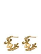 Wild Poppy Hoops Accessories Jewellery Earrings Hoops Gold Pernille Co...