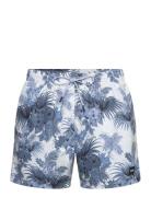 Piranha Uimashortsit Blue BOSS