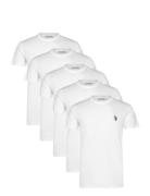 Bertil Reg Sj 5 Pk Uspa M Tee Tops T-shirts Short-sleeved White U.S. P...