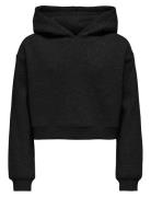 Kogsweat L/S Hoodie Short Swt Noos Tops Sweat-shirts & Hoodies Hoodies...