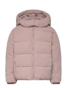 Hood Quilted Coat Toppatakki Pink Mango