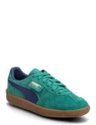 Palermo Jr Sport Sneakers Low-top Sneakers Blue PUMA