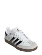 Samba Og C Matalavartiset Sneakerit Tennarit White Adidas Originals