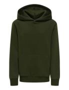 Osjceres Hoodie Swt Noos Tops Sweat-shirts & Hoodies Hoodies Khaki Gre...