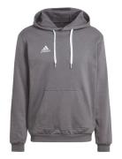 Ent22 Hoody Tops Sweat-shirts & Hoodies Hoodies Grey Adidas Performanc...