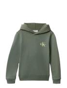 Small Monogram Hoodie Tops Sweat-shirts & Hoodies Hoodies Green Calvin...