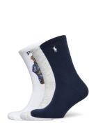 Polo Bear Sock 3-Pack Lingerie Socks Regular Socks Multi/patterned Pol...