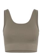Soft Rib Seamless Crop Top Sport Bras & Tops Sports Bras - All Khaki G...