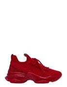 Maxilla-R-E Korkeavartiset Tennarit Red Steve Madden