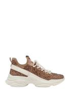 Maxima-R Korkeavartiset Tennarit Beige Steve Madden