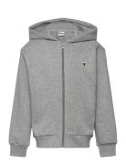 Hmljr Loose Zip Hoodie Bee Sport Sweat-shirts & Hoodies Hoodies Grey H...