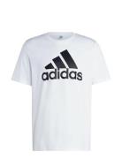 M Bl Sj T Sport T-shirts Short-sleeved White Adidas Sportswear