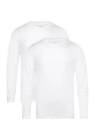 Core Slim Long Sleeve T-Shirt 2P Tops T-shirts Long-sleeved White Björ...