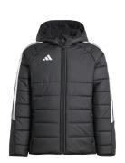 Tiro24 Wintjkty Toppatakki Black Adidas Performance
