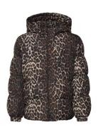 Tnpuffa Jacket Toppatakki Brown The New