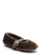 Toasty Ballerinat Brown Steve Madden